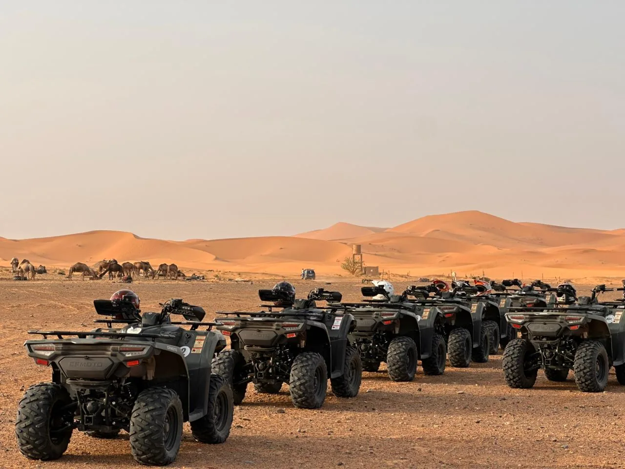 Quad Biking in Merzouga in Merzouga